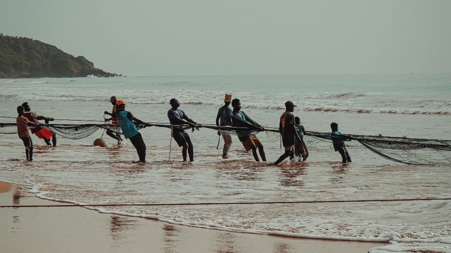 People hauling a fishing net in the shallows in Ghana